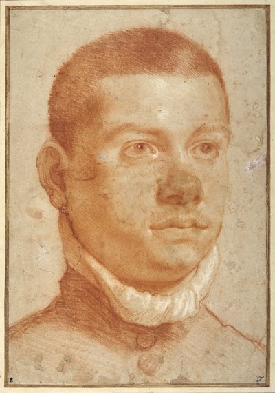 Fiatal férfi portréfeje (vörös kréta) alkotó: Annibale Carracci
