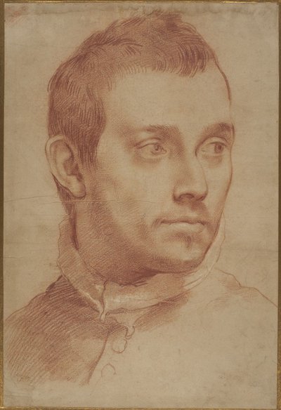 Fiatal férfi portréja alkotó: Annibale Carracci