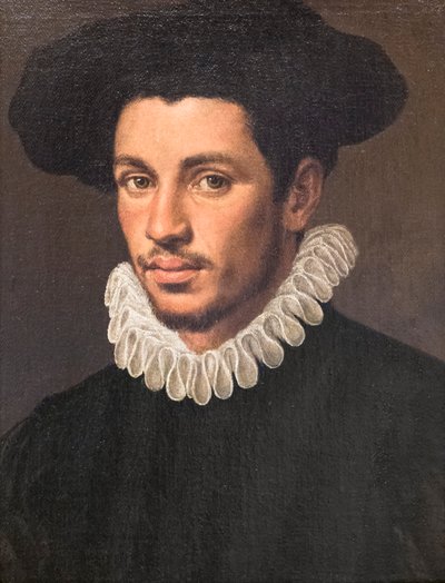 Egy fiatal férfi portréja alkotó: Annibale Carracci