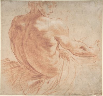 Jobbra néző, ülő ifjú hátulról nézve alkotó: Annibale Carracci