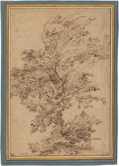 Studie eines Baumes alkotó: Annibale Carracci