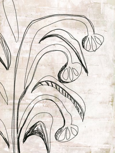 Organic Line Botanicals alkotó: Annick