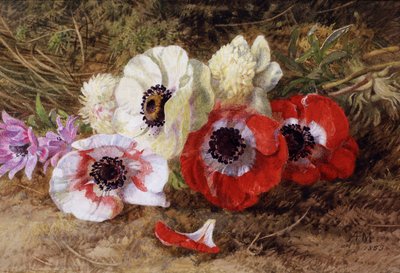 Anemones alkotó: Annie Feray Mutrie
