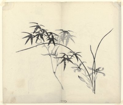 Bambusz és orchidea alkotó: Anonymous