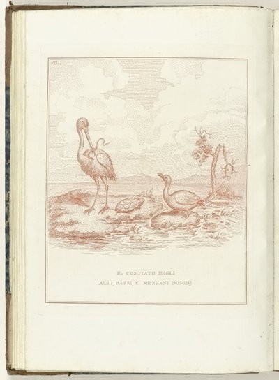 Comité van Hoge, Lage en Middelbare Heerlijkheden, 1795 Az Alti, Bassi és Mezzani Domini Bizottsága (cím a tárgyban) Hollandia Regenerata (olasz kopie) (sorozat címe) Hollandia újjászületése: spechio minden újjászületett népnek (sorozat t alkotó: Anonymous