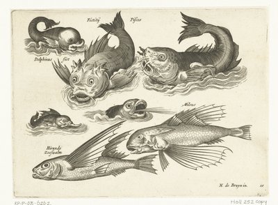 Fantasztikus vízi állatok, köztük delfin és pitfish Libelivs miscellaneous Genera piscium complectens (sorozat címe) Édesvízi halak, tengeri halak, békák, rákfélék és tengeri élőlények (sorozat címe) alkotó: Anonymous