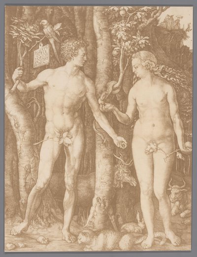 Albrecht Dürer Ádám és Éva metszetének fényképreprodukciója alkotó: Anonymous