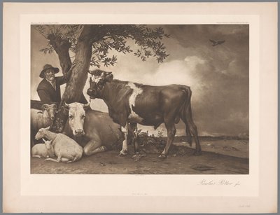 Paulus Potter A bika című képének fotóreprodukciója, coll. Mauritshuis 1904 – Nem. 54. / Konigl. Múzeum Hágában (sorozat címe) alkotó: Anonymous