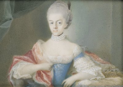 Frederika Sophia Wilhelmina (1751-1820), porosz hercegnő, V. Vilmos herceg felesége alkotó: Anonymous