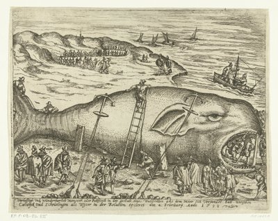 Elakadt Walvis Berckhey közelében, 1598 Warhafttigh And Wonderful Monster vagy Pottfisch bálna formájában, amelyből Möer feliszapolt Catwyck és Schevelingen között, mint Wyter az ercleret kapcsolatában 1598. február 4-én (cici alkotó: Anonymous