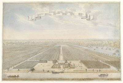 Kilátás a Suriname-i Cornelis Vriendschap ültetvényre Plantation Cornelis Friendship (cím az objektumon) alkotó: Anonymous