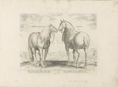 Hengst en merrie uit Róma Római anyaló (cím a tárgyon) Paardenrassen uit de Koninklijke stallen van Don Juan van Oostenrijk (sorozat címe) A ló, amelyben mindenféle nemes: a világ legkülönbözőbb pontjairól válogatott lovak viselkedése megkülönböztethető ( alkotó: Anonymous