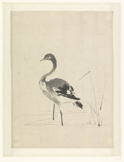 Fiatal Crane alkotó: Anonymous