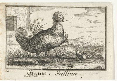 Csirke csirkével Henna, Gallina. (cím a tárgyon) alkotó: Anonymous