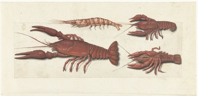 Langoustine, két rák és rák Lombard album (sorozat címe) alkotó: Anonymous