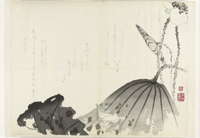 lótuszlevél Shijo-surimono album az 1840-1900 közötti időszakból (sorozat címe) alkotó: Anonymous