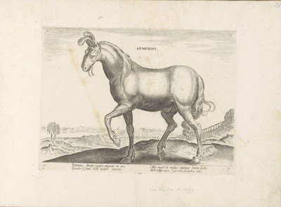 Paard uit Armenië Armenius (cím a tárgyon) Paardenrassen uit de Koninklijke stallen van Don Juan van Oostenrijk (sorozat címe) A ló, amelyben mindenféle nemes: a világ legkülönbözőbb pontjairól megkülönböztetett lovak viselkedése válogatott (...) (sorozat  alkotó: Anonymous