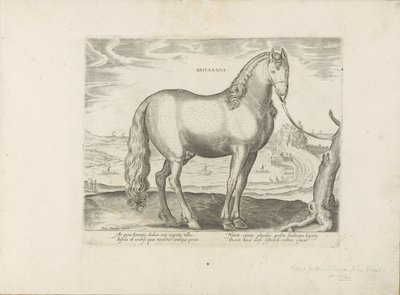 Paard uit Bretagne (Nagy-Britannia) brit (cím a tárgyon) Paardenrassen uit de Koninklijke stallen van Don Juan van Oostenrijk (sorozat címe) Egy ló, amelyben mindenféle nemes: a világ különböző pontjairól válogatva, akiket a lovak viselkedése különböztet m alkotó: Anonymous