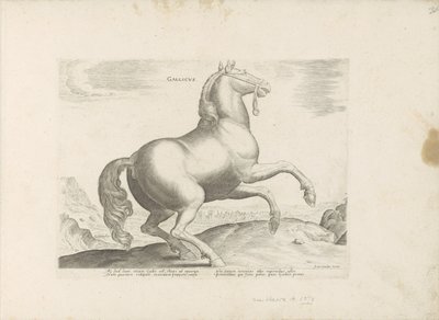Paard uit Frankrijk francia (cím a tárgyon) Paardenrassen uit de Koninklijke stallen van Don Juan van Oostenrijk (sorozat címe) A ló, amelyben mindenféle nemes: a világ legkülönbözőbb pontjairól megkülönböztetett lovak viselkedése válogatott (...) (sorozat alkotó: Anonymous