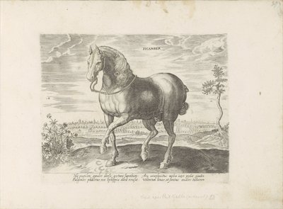 Paard uit Gelre Sicamber (cím a tárgyon) Paardenrassen uit de Koninklijke stallen van Don Juan van Oostenrijk (sorozat címe) A ló, amelyben mindenféle nemes: a világ legkülönbözőbb pontjairól megkülönböztetett lovak viselkedése válogatott (...) (sorozat cí alkotó: Anonymous
