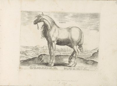 Paard Görögországból Achivus (cím az objektumon) Paardenrassen uit de Koninklijke stallen van Don Juan van Oostenrijk (sorozat címe) A ló, amelyben mindenféle nemes: a világ legkülönbözőbb pontjairól megkülönböztetett lovak viselkedése válogatott (...) (so alkotó: Anonymous