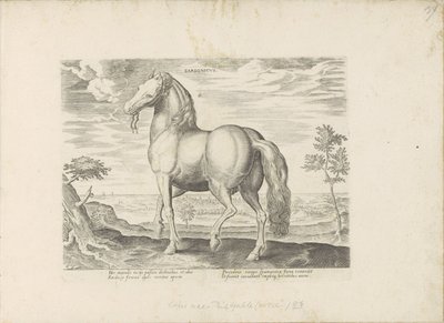 Paard Szardíniából Sardonicus (cím a tárgyon) Paardenrassen uit de Koninklijke stallen van Don Juan van Oostenrijk (sorozat címe) A ló, amelyben mindenféle nemes: a világ legkülönbözőbb pontjairól megkülönböztetett lovak viselkedése válogatott (...) (soroz alkotó: Anonymous