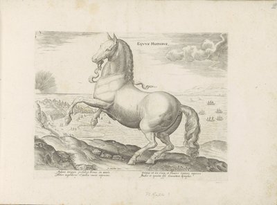 Paard uit Spanje Spanyol ló (cím a tárgyon) Paardenrassen uit de Koninklijke stallen van Don Juan van Oostenrijk (sorozat címe) A ló, amelyben mindenféle nemes: a világ legkülönbözőbb pontjairól megkülönböztetett lovak modora válogatott (...) (sorozat címe alkotó: Anonymous
