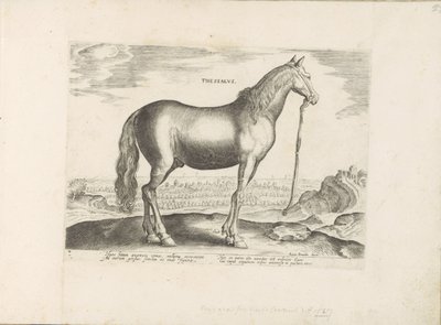 Paard uit Thessalië Thesszália (cím a tárgyon) Paardenrassen uit de Koninklijke stallen van Don Juan van Oostenrijk (sorozat címe) A ló, amelyben mindenféle nemes: a világ legkülönbözőbb pontjairól megkülönböztetett lovak viselkedése válogatott (...) (soro alkotó: Anonymous