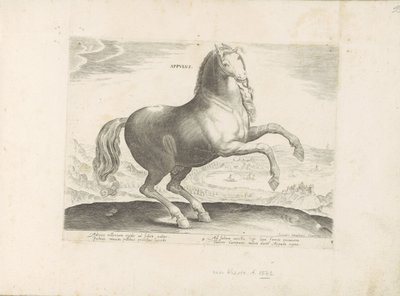 Paard uit Zuid-Italië Appulus (cím a tárgyon) Paardenrassen uit de Koninklijke stallen van Don Juan van Oostenrijk (sorozat címe) A ló, amelyben mindenféle nemes: a világ legkülönbözőbb pontjairól megkülönböztetett lovak viselkedése válogatott (...) (soroz alkotó: Anonymous