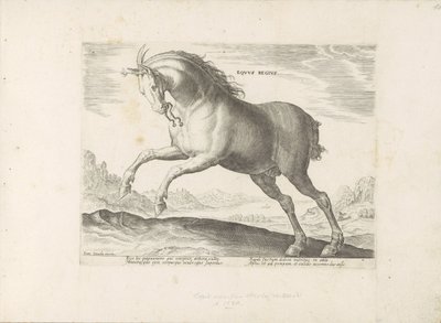 Paard van het ras Royal Horse (de Koninklijke) A királyi ló (cím a tárgyon) Paardenrassen uit de Koninklijke stallen van Don Juan van Oostenrijk (sorozat címe) Egy ló, amelyben mindenféle nemes: kitűnik a világ különböző részeiről származó lovak modora. alkotó: Anonymous