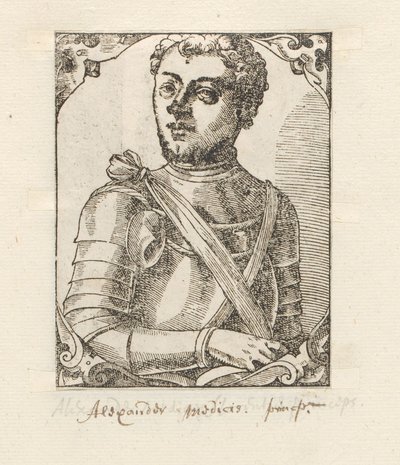 Portré van Alessandro de