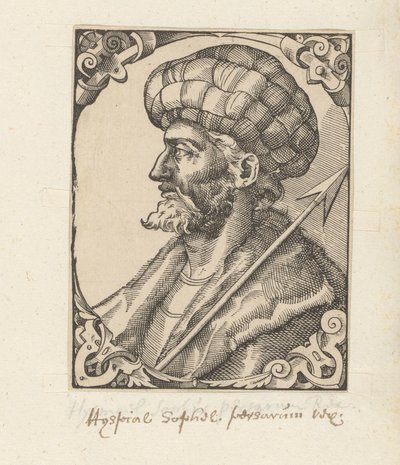 Portré van Ismail I alkotó: Anonymous