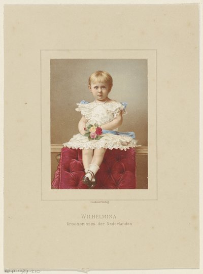 Wilhelmina, Hollandia királynőjének portréja alkotó: Anonymous