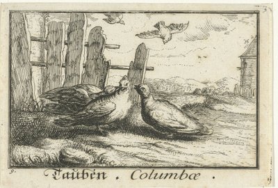 Két galamb a kerítésnél Tauben, Columbae (cím a tárgyon) alkotó: Anonymous