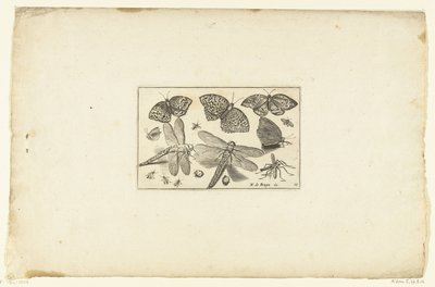 Vlinders en libellen Különféle Volatilium (...) (sorozat címe) alkotó: Anonymous