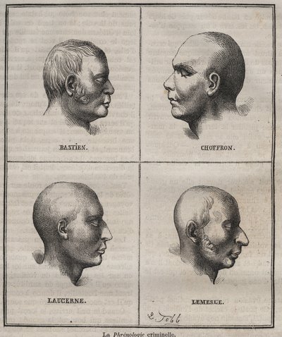 Criminal Phrenology in the Brest Bagne (a különböző típusú bűnözők fiziognómiai jellemzőit ábrázoló portrék). Pierre Zaccone (1817-1895) vésése „Az elítéltek története születésüktől napjainkig” (1877) (Colonia Penale - Penal alkotó: Anonymous Anonymous
