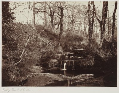 Edge Park, Cheshire, 1865 körül (albumnyomat üvegnegatívról) alkotó: Anonymous Anonymous