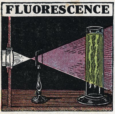 Fluoreszcencia: a testek fluoreszcenciájának bizonyítéka. Névtelen illusztráció 1925-ből. Magángyűjtemény. alkotó: Anonymous Anonymous