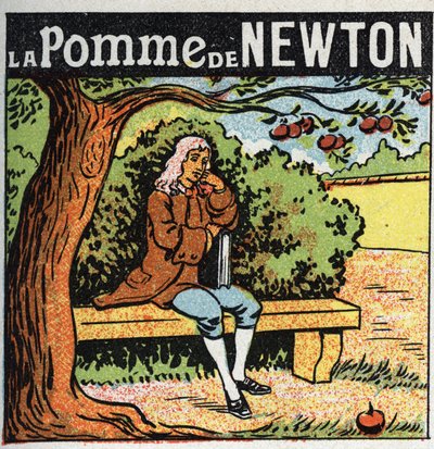 Gravitáció: Newton alma. Isaac Newton (1642-1727) megfigyeli, hogy egy alma leesik az almafáról, és felfedezi a föld gravitációjának (gravitáció) törvényeit. Névtelen illusztráció 1925-ből. Magángyűjtemény. alkotó: Anonymous Anonymous