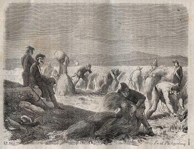 Begyűjtő erők a Belle-Ile-en-Mer börtönben (gyönyörű tengeri sziget) a 19. században. Pierre Zaccone (1817-1895) (Colonia Penale - Büntetőtelep) metszet az „Elítéltek története a megalkotásuktól napjainkig” című könyvébe (1877). Magángyűjtemény. alkotó: Anonymous Anonymous