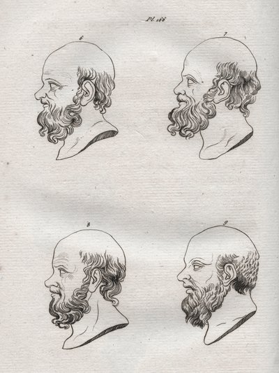 Fiziognómia - Fiziognómia - Szókratész (kb. ie 469-i. e. 399) görög filozófus több feje (Szókratész mellszobra (i.e. 469-399), athéni filozófus) 1808-as metszet „A férfiak megismerésének művészete a fiziológián keresztül” Johann Gaspar (Gaspard) Lavat alkotó: Anonymous Anonymous