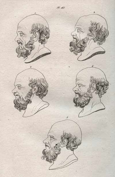 Fiziognómia - Fiziognómia - Szókratész (kb. ie 469-i. e. 399) görög filozófus több feje (Szókratész mellszobra (i.e. 469-399), athéni filozófus) 1808-as metszet „A férfiak megismerésének művészete a fiziológián keresztül” Johann Gaspar (Gaspard) Lavat alkotó: Anonymous Anonymous
