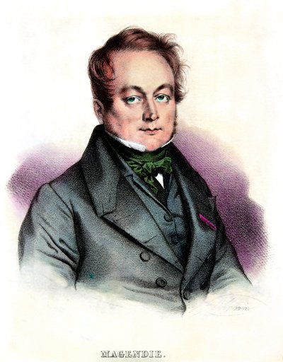 Francois Magendie (1783-1855) orvos és fiziológus portréja, Privee Collection alkotó: Anonymous Anonymous