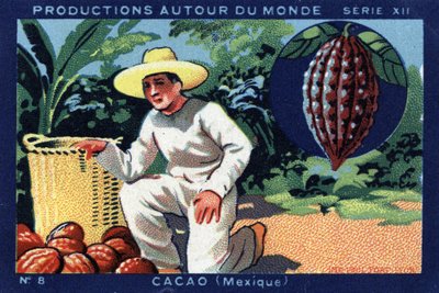 Termelések szerte a világon: Kakaó Mexikóban. 1933-as kromolitográfiája a „Joseph-Milliat Albumban” alkotó: Anonymous Anonymous