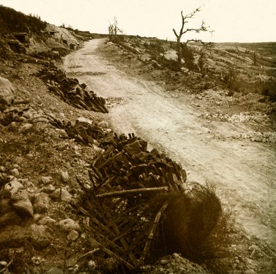 Sztereoszkópikus üveglap az első világháborúról (1., Iere alkotó: Anonymous Anonymous