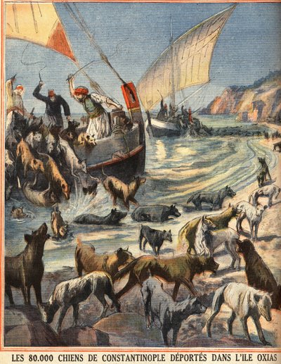 A 80 000 kóbor kutya Konstantinápolyból (Isztambul, Törökország) Oxias szigetére indul. Metszet a „” Le petit parisien””-ben 1910.08.07. Magángyűjtemény. alkotó: Anonymous Anonymous