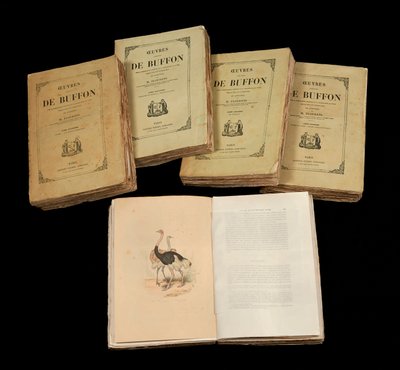 The Complete Artworks of Buffon (1707 - 1788) - magángyűjtemény alkotó: Anonymous Anonymous