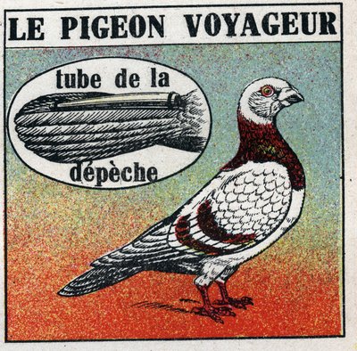 Posta: Az utazó galamb. Névtelen illusztráció 1925-ből. Magángyűjtemény. alkotó: Anonymous Anonymous