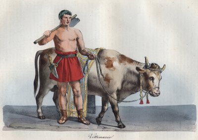 Áldozatok – viktimarius (áldozatra szánt állatok kereskedője) (Aki felfogta az áldozatot, és megütötte az áldozatokat) metszet az Univerzum összes népének „használatai és szokásai” című könyvből. Ez a kormány, a törvények, a milícia története, d alkotó: Anonymous Anonymous