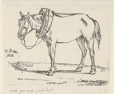 Sózott ló alkotó: Anthonie Willem Hendrik Nolthenius de Man